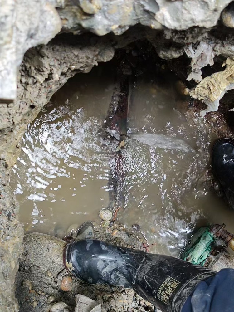 苏尼特左旗本地服务：小区水管漏水检测维修